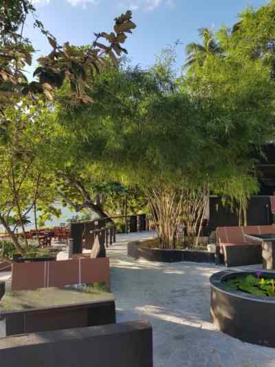 BBQ Image
          2